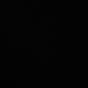 Meet your Posher, Max